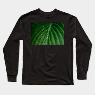 Water droplets on Hosta leaf Long Sleeve T-Shirt